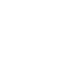 Changing language icon