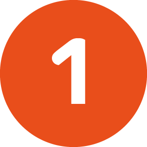 Section 1