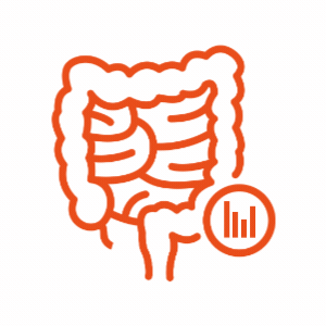 Digestive system