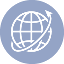 Global icon