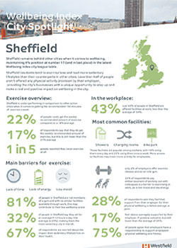 Wellbeing index city spotlight Sheffield
