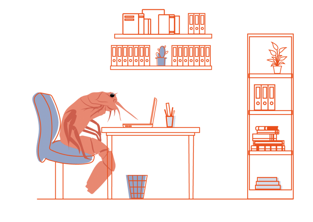 Illustration showing a prawn at a desk