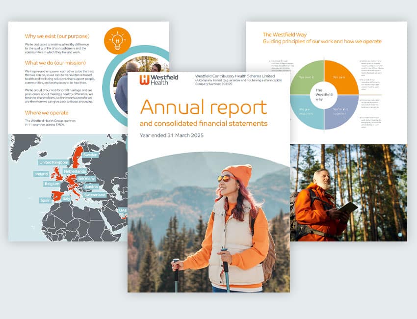Annaul report 2025 preview